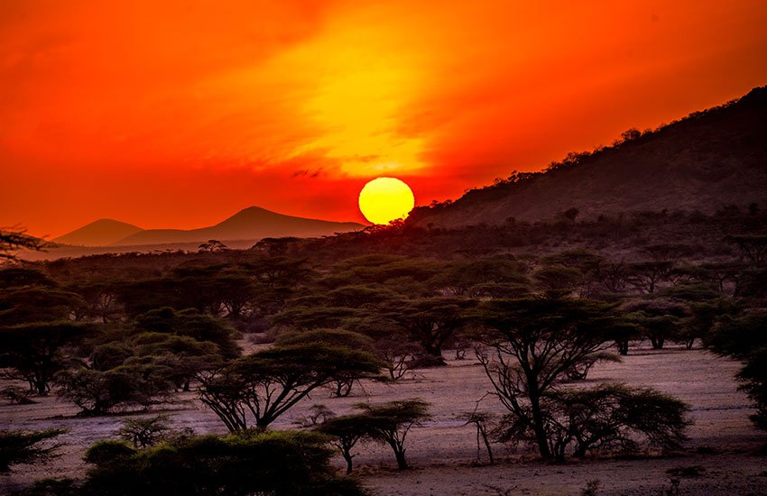 Samburu and Masai Mara Flight Safari