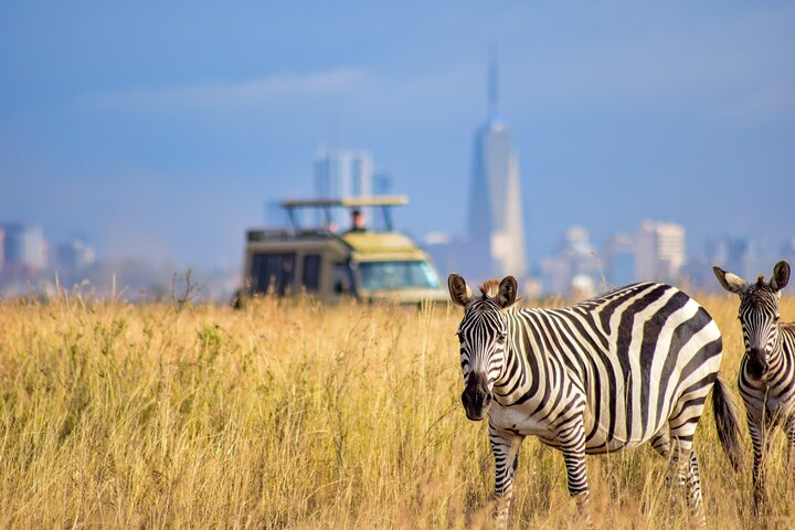 Nairobi “The World's Wildlife Capital! ”