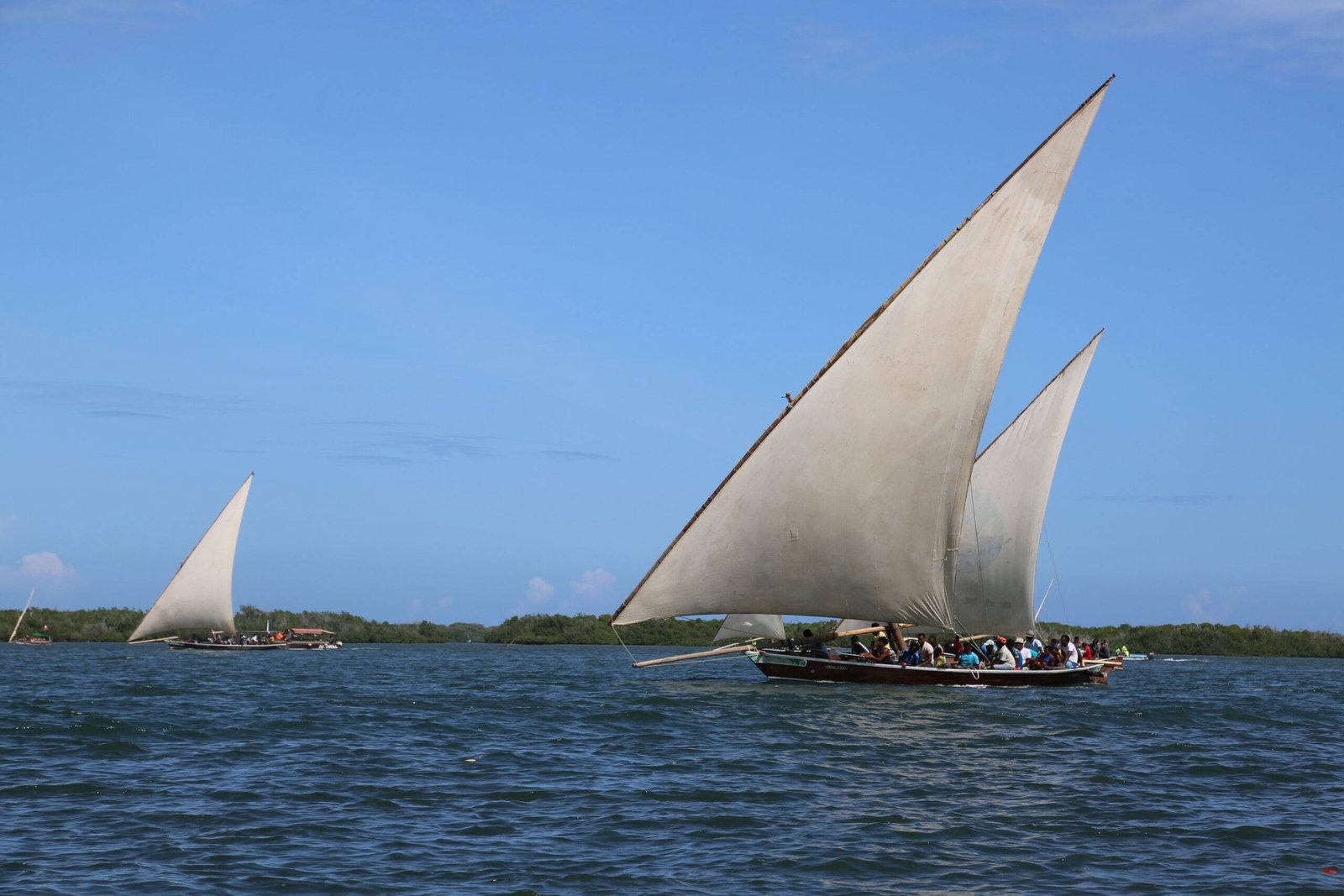 Lamu Dhow & Island Culture
