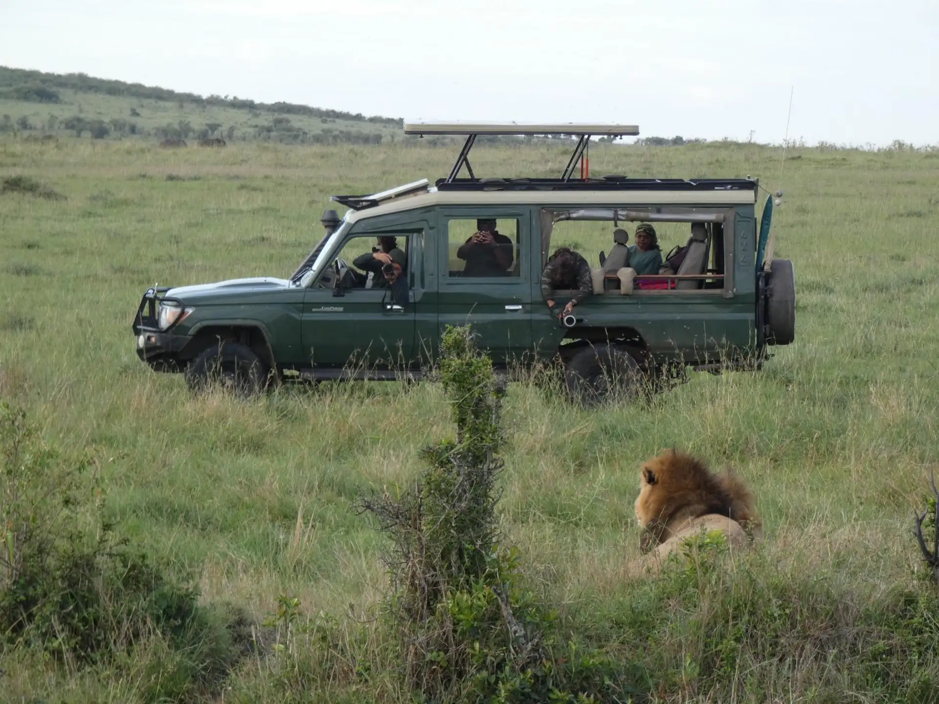 Day Tour Lakes Nakuru & Naivasha National Park