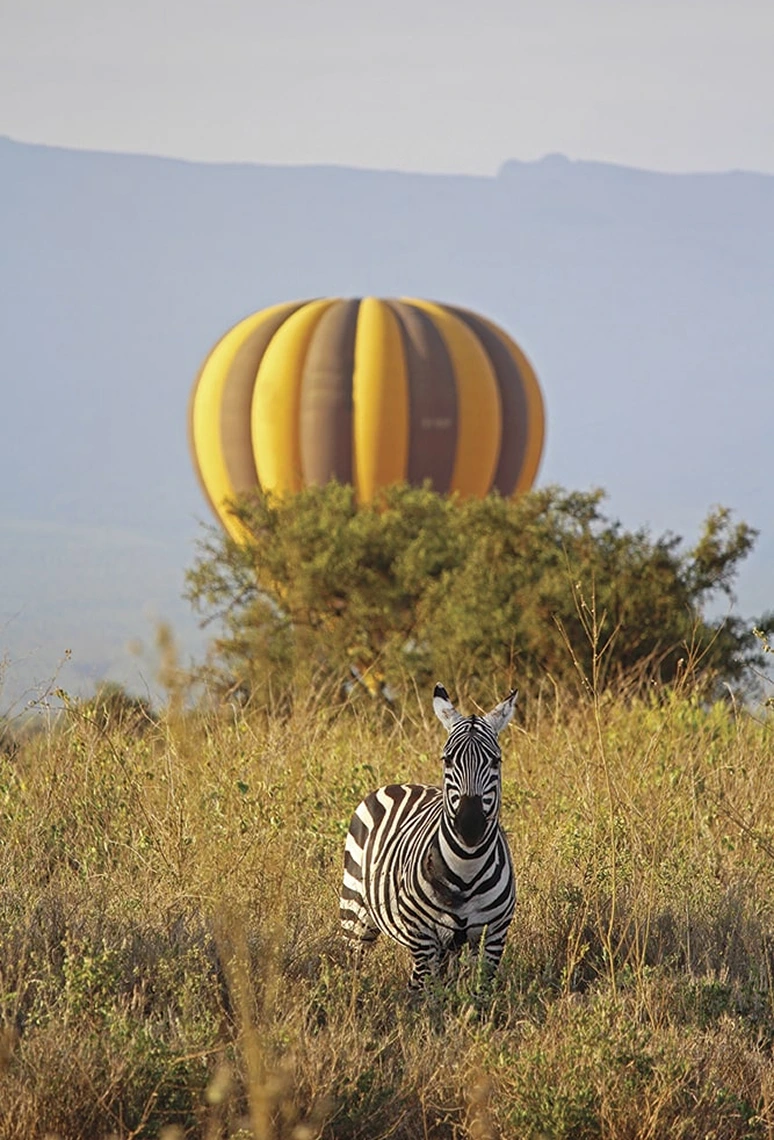 Samburu and Masai Mara Flight Safari