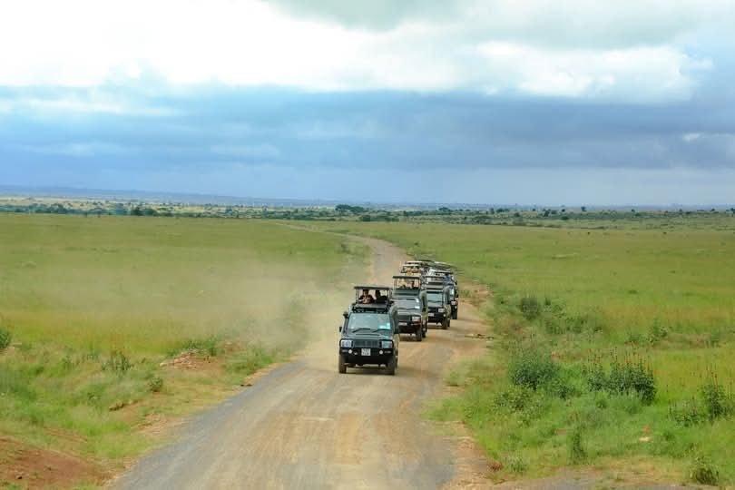 Cross-Country Safari "Kenya"