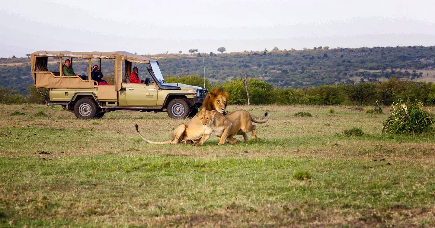 Maasai Mara Classic Safari "Budget"