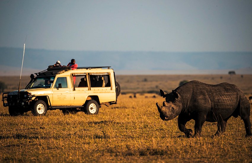 Tanzania Luxury Safari